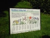 Wildflower Meadow Interpretation Panel
